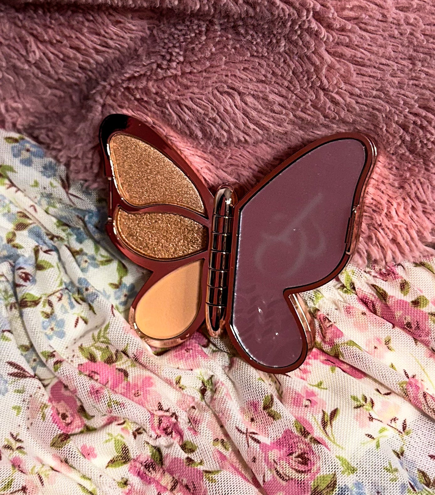 Butterfly Eyeshadow Makeup