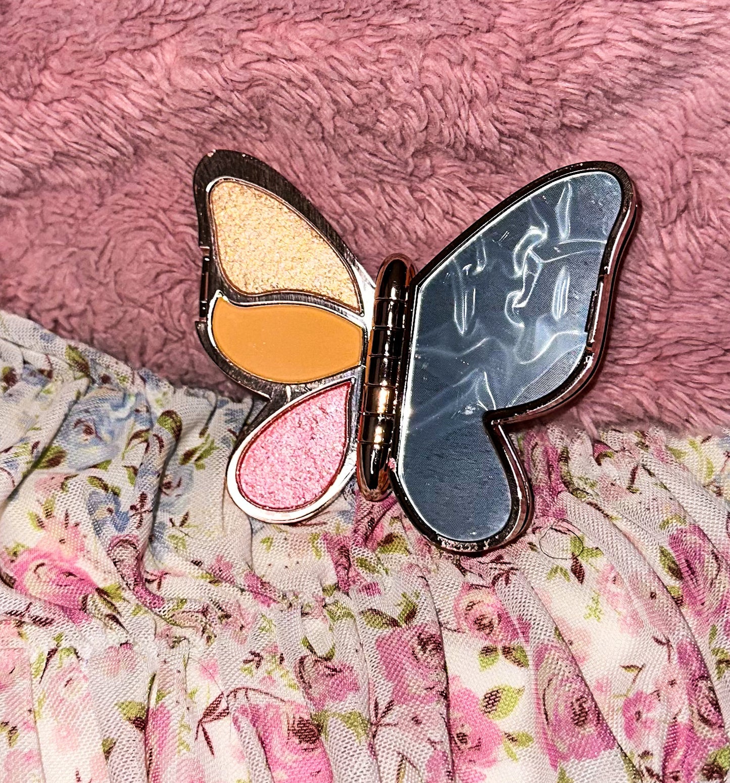 Butterfly Eyeshadow Makeup