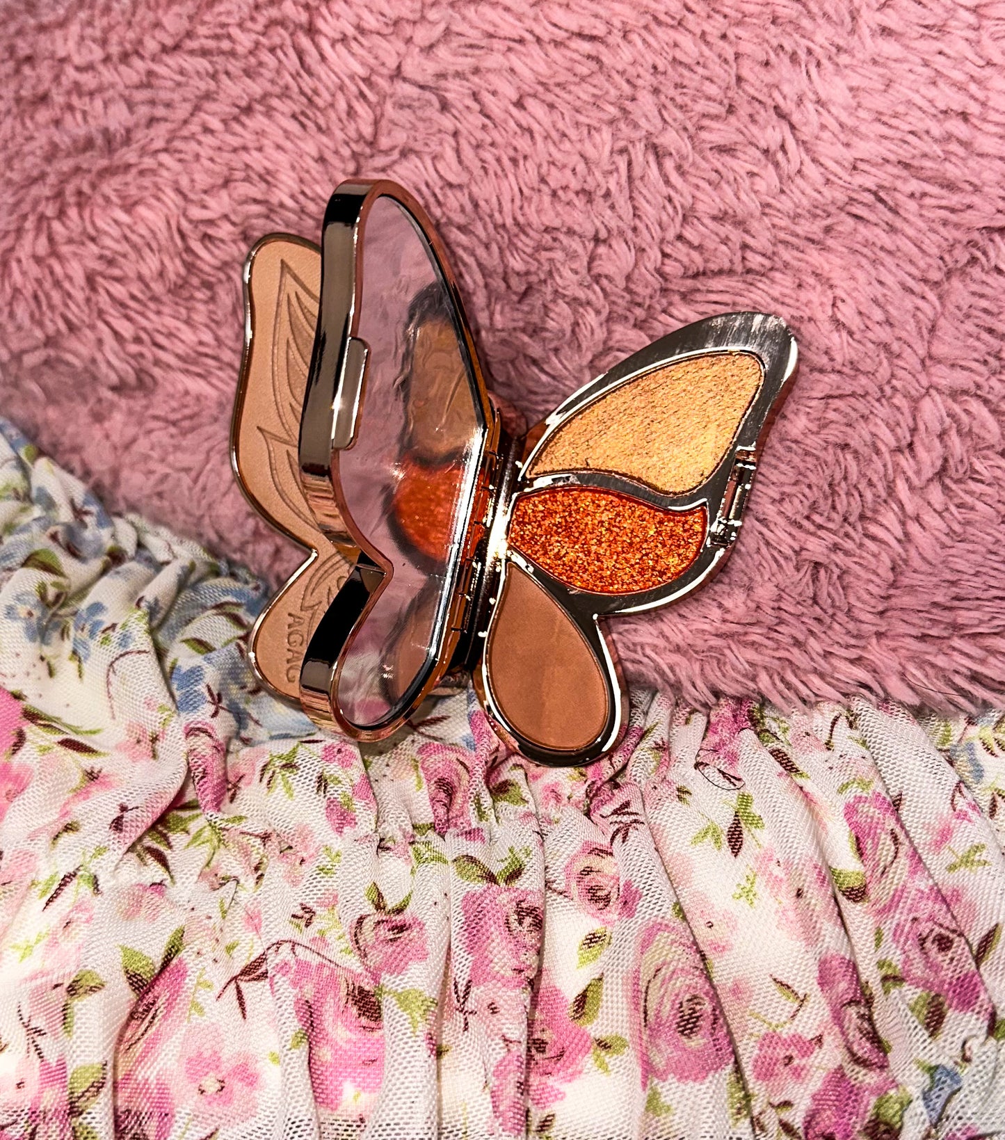 Butterfly Eyeshadow Makeup