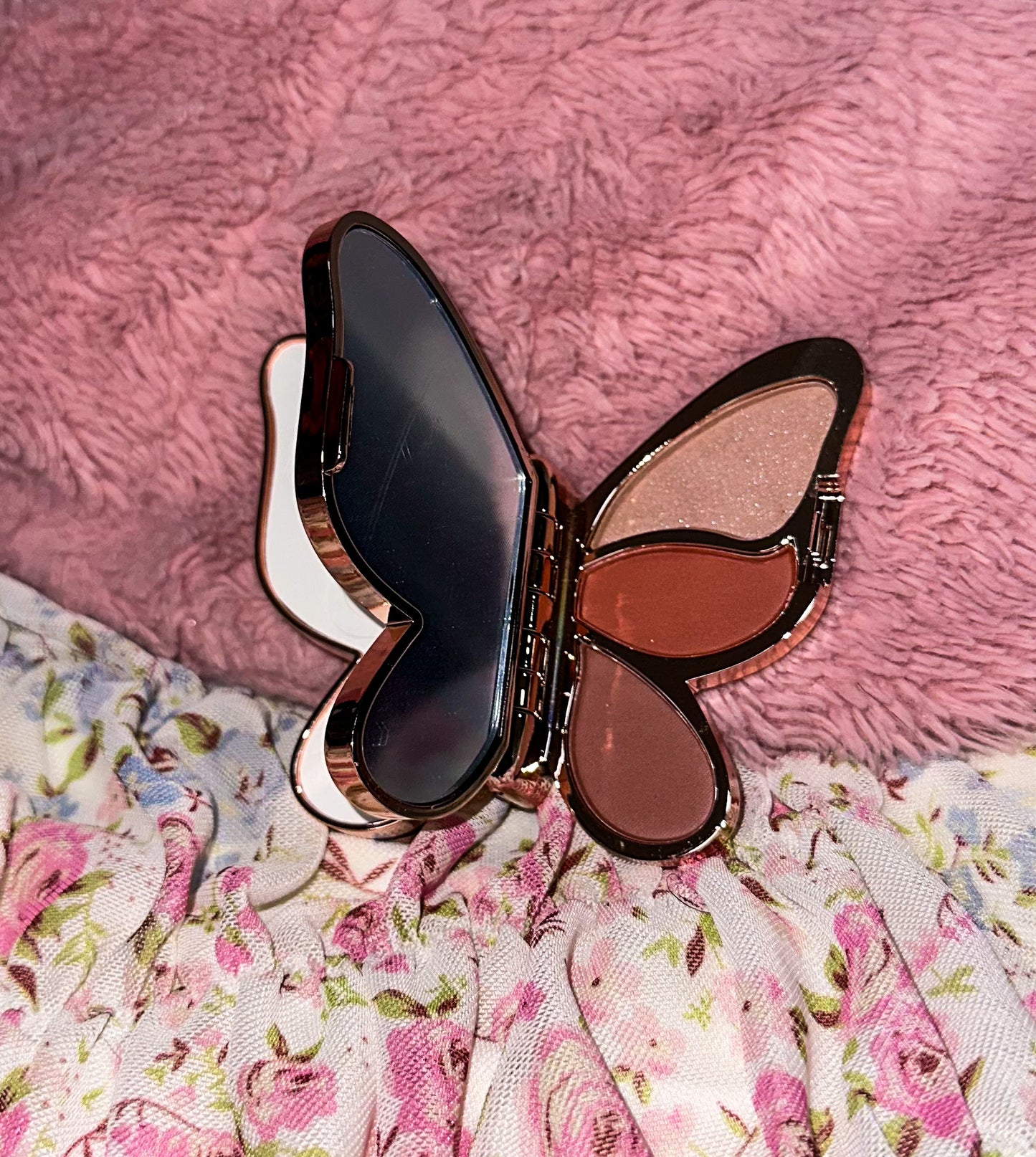 Butterfly Eyeshadow Makeup